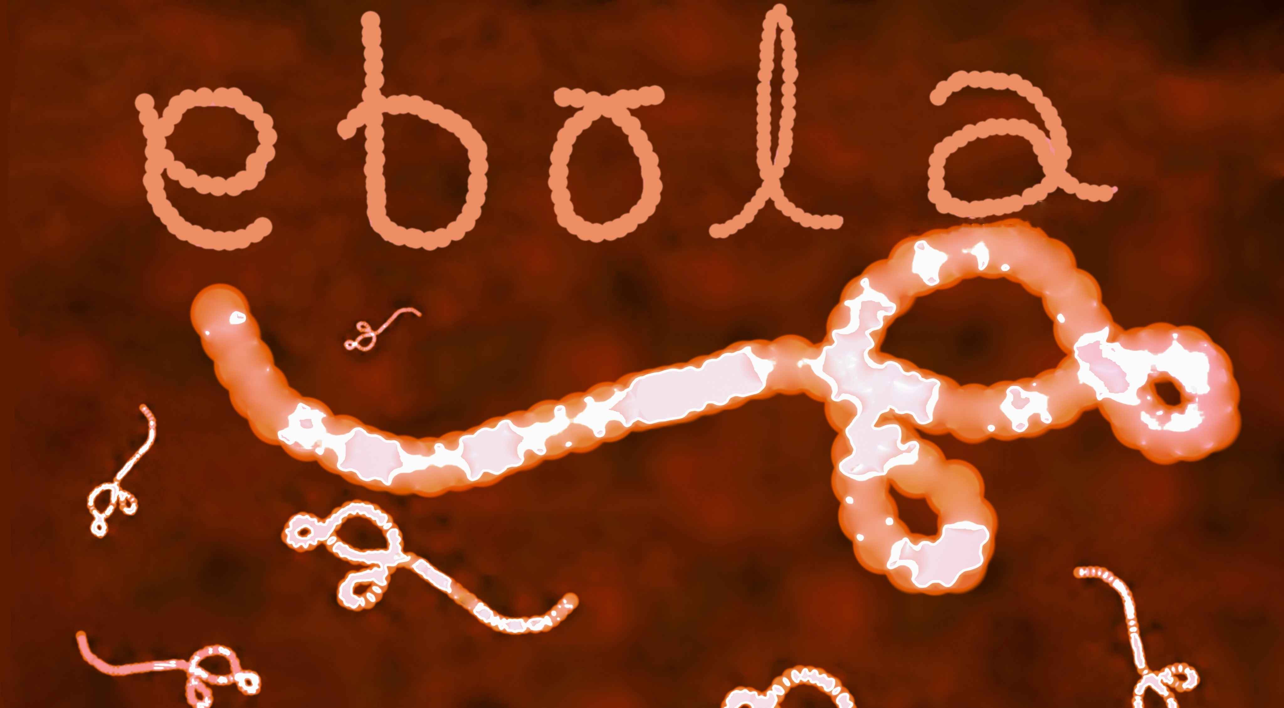 Ebola: ప్రపంచాన్ని కలవరపెడుతున్న ఎబోలా వైరస్.. WHO కీలక హెచ్చరికలు!