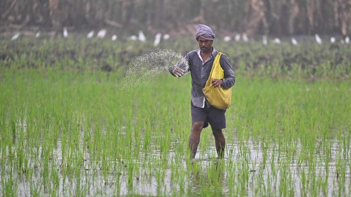 AP Farmers: ఏపీ రైతులకు అలర్ట్.. వ్యవసాయ శాఖ కొత్త రూల్స్.. ఇక నుండి ఆధార్ ఉంటేనే..!